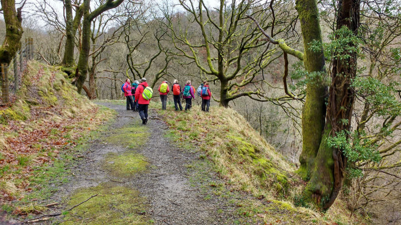 Photograph of Walking Route - Image 7