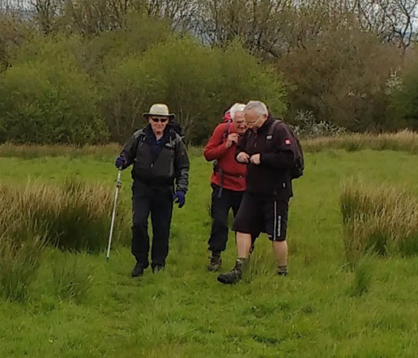 Photograph of Walking Route - Image 4