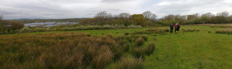 Photograph of Walking Route - Image 5