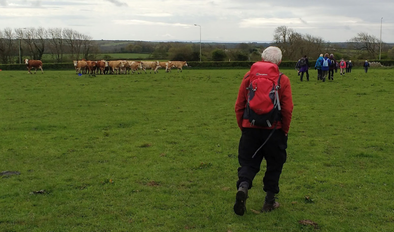 Photograph of Walking Route - Image 7