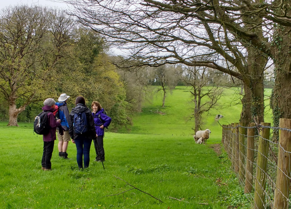 Photograph of Walking Route - Image 11