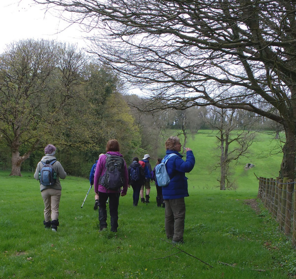 Photograph of Walking Route - Image 12