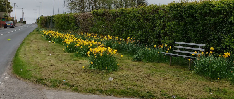 Photograph of Walking Route - Image 13