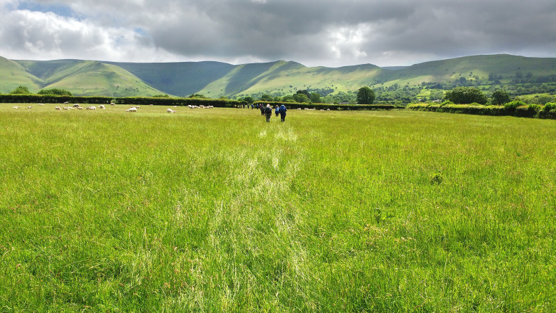 Photograph of Walking Route - Image 2