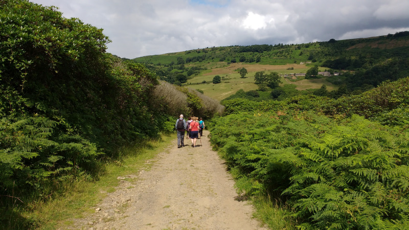 Photograph of Walking Route - Image 8