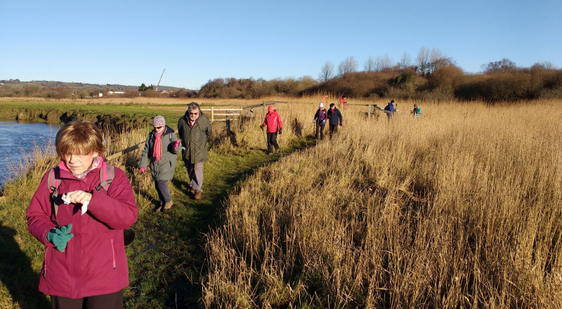 Photograph of Walking Route - Image 5