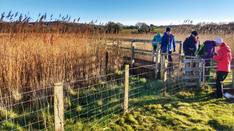 Photograph of Walking Route - Image 6