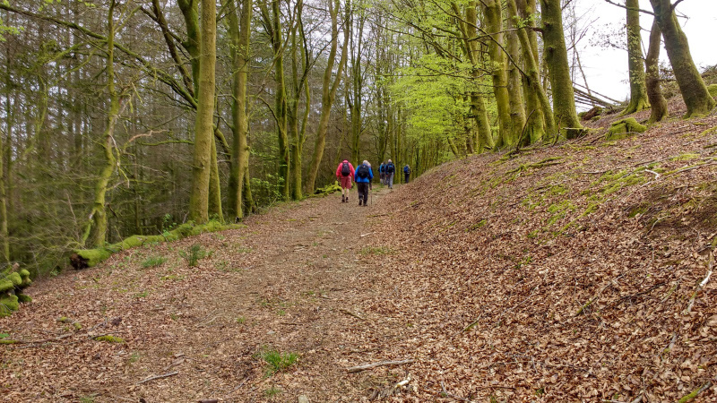 Photograph of Walking Route - Image 2