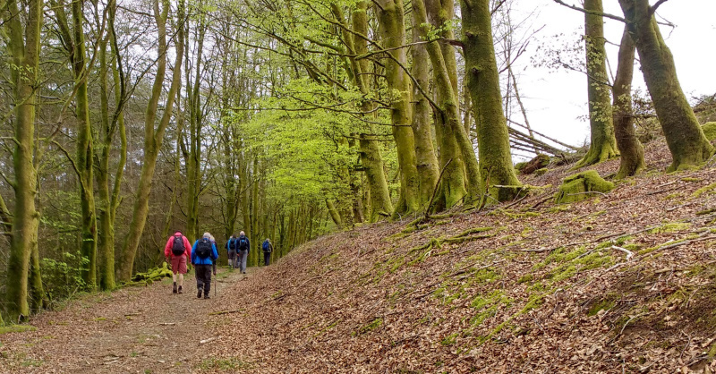 Photograph of Walking Route - Image 3