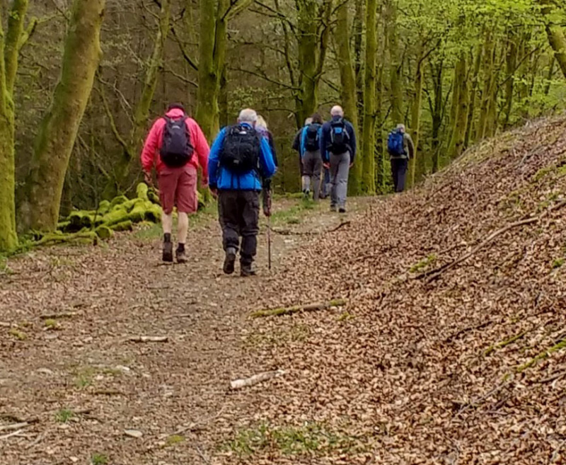 Photograph of Walking Route - Image 4