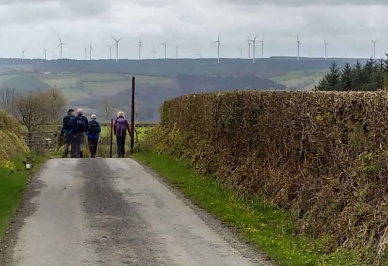 Photograph of Walking Route - Image 10