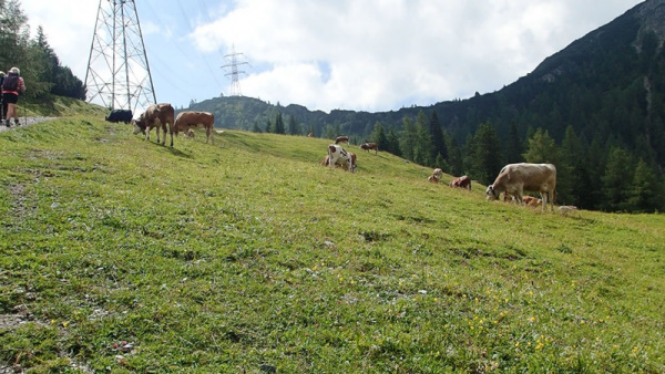 Photograph of Walking Route - Image 15