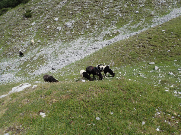 Photograph of Walking Route - Image 34