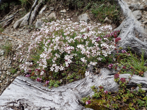 Photograph of Walking Route - Image 45