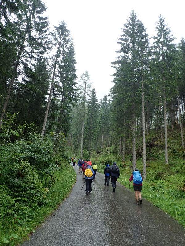 Photograph of Walking Route - Image 12