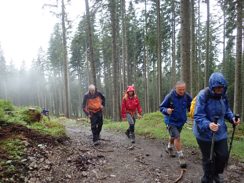 Photograph of Walking Route - Image 19