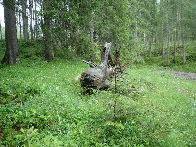 Photograph of Walking Route - Image 36