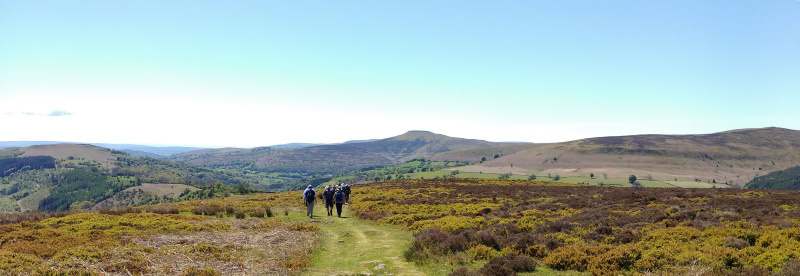 Photograph of Walking Route - Image 2