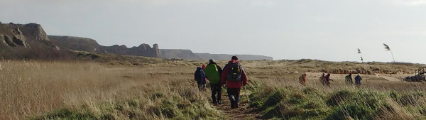 Photograph of Walking Route - Image 6