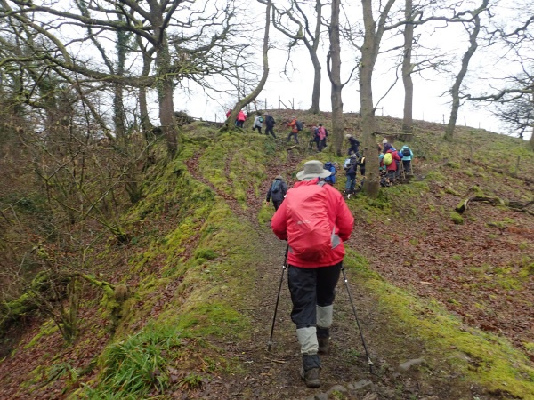 Photograph of Walking Route - Image 4