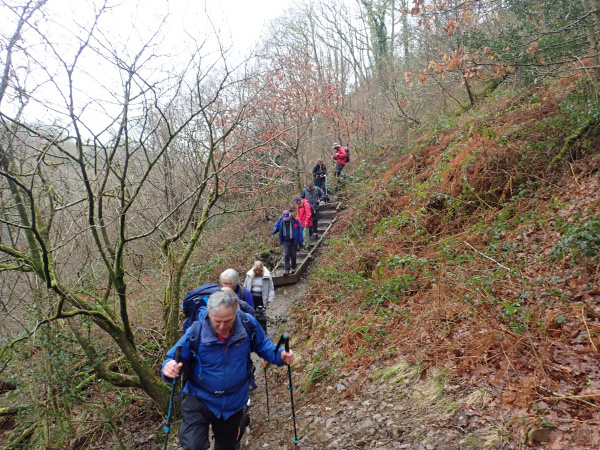 Photograph of Walking Route - Image 8