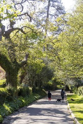 Photograph of Walking Route - Image 3