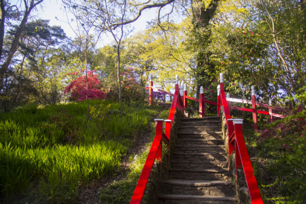 Photograph of Walking Route - Image 31