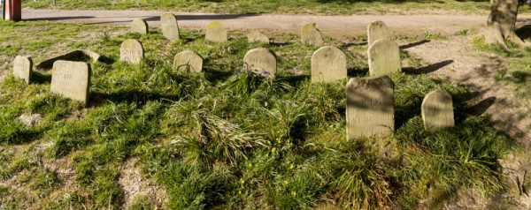 Photograph of Walking Route - Image 37