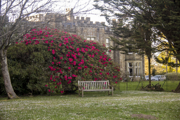 Photograph of Walking Route - Image 39