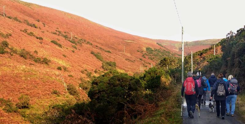 Photograph of Walking Route - Image 5