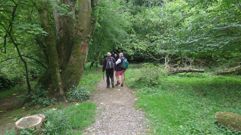 Photograph of Walking Route - Image 1