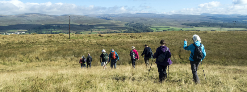 Photograph of Walking Route - Image 17