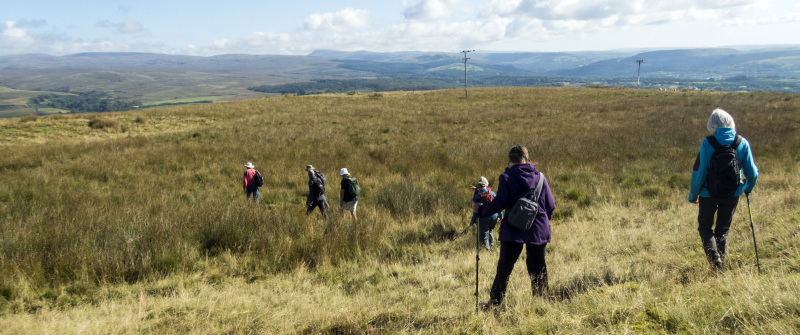 Photograph of Walking Route - Image 18