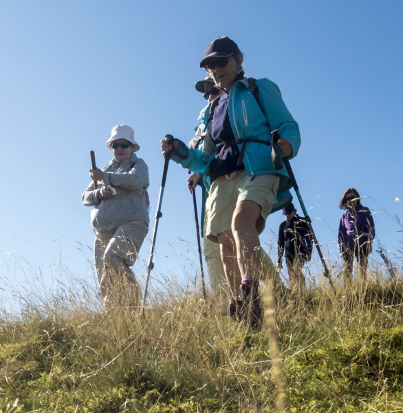 Photograph of Walking Route - Image 20