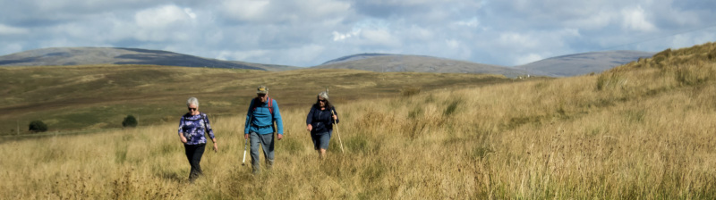 Photograph of Walking Route - Image 43