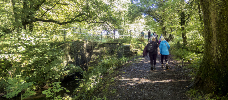 Photograph of Walking Route - Image 9