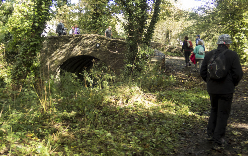 Photograph of Walking Route - Image 15