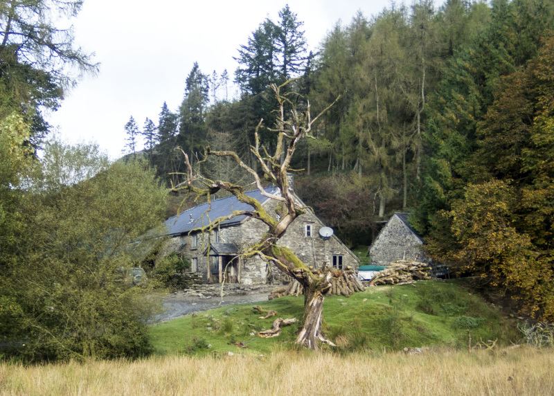 Photograph of Walking Route - Image 3