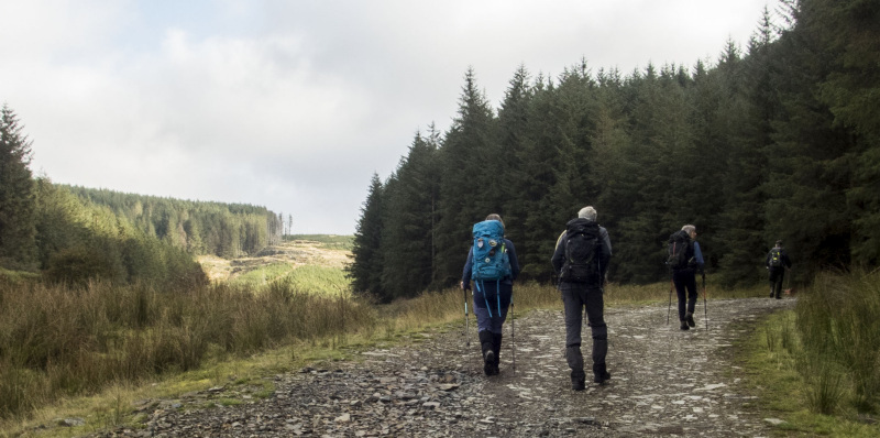 Photograph of Walking Route - Image 4