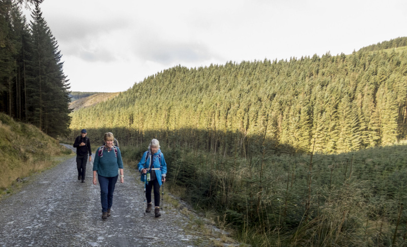 Photograph of Walking Route - Image 6