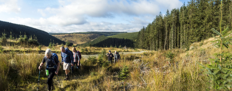 Photograph of Walking Route - Image 10