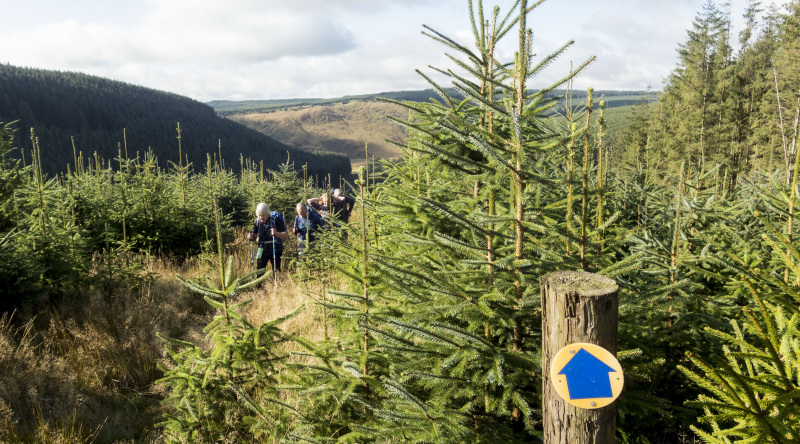 Photograph of Walking Route - Image 11