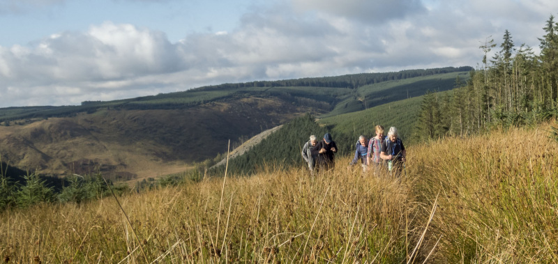 Photograph of Walking Route - Image 12