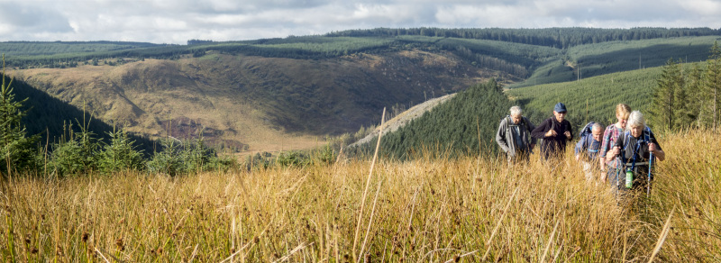 Photograph of Walking Route - Image 14