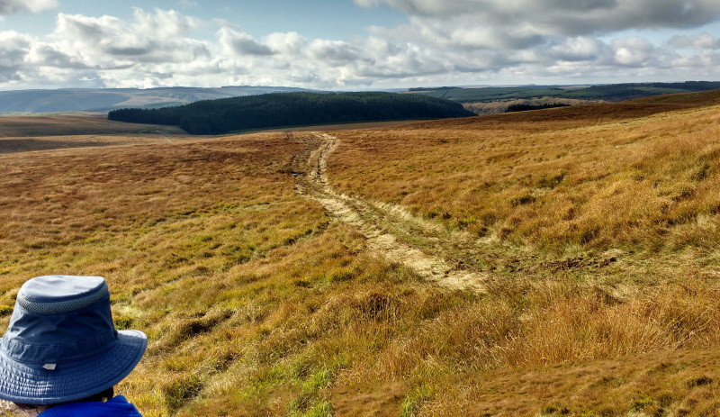 Photograph of Walking Route - Image 17