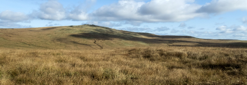 Photograph of Walking Route - Image 19