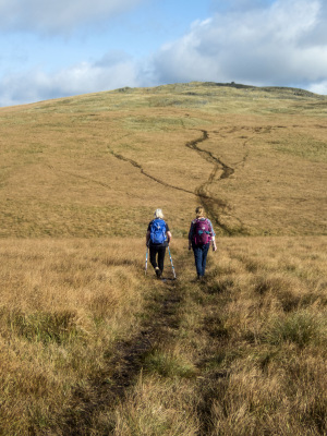 Photograph of Walking Route - Image 21