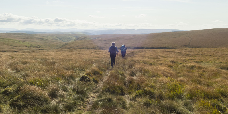 Photograph of Walking Route - Image 39