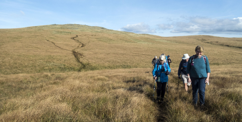 Photograph of Walking Route - Image 40