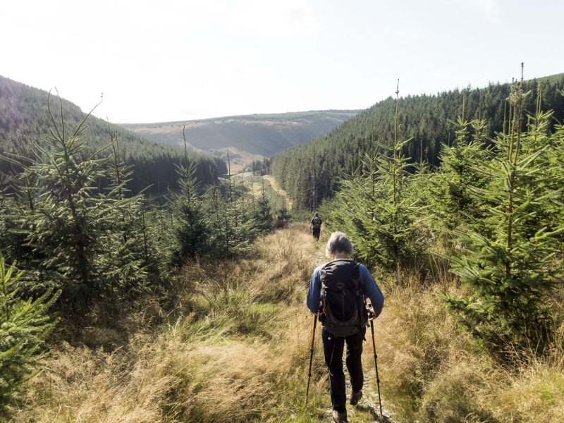 Photograph of Walking Route - Image 41